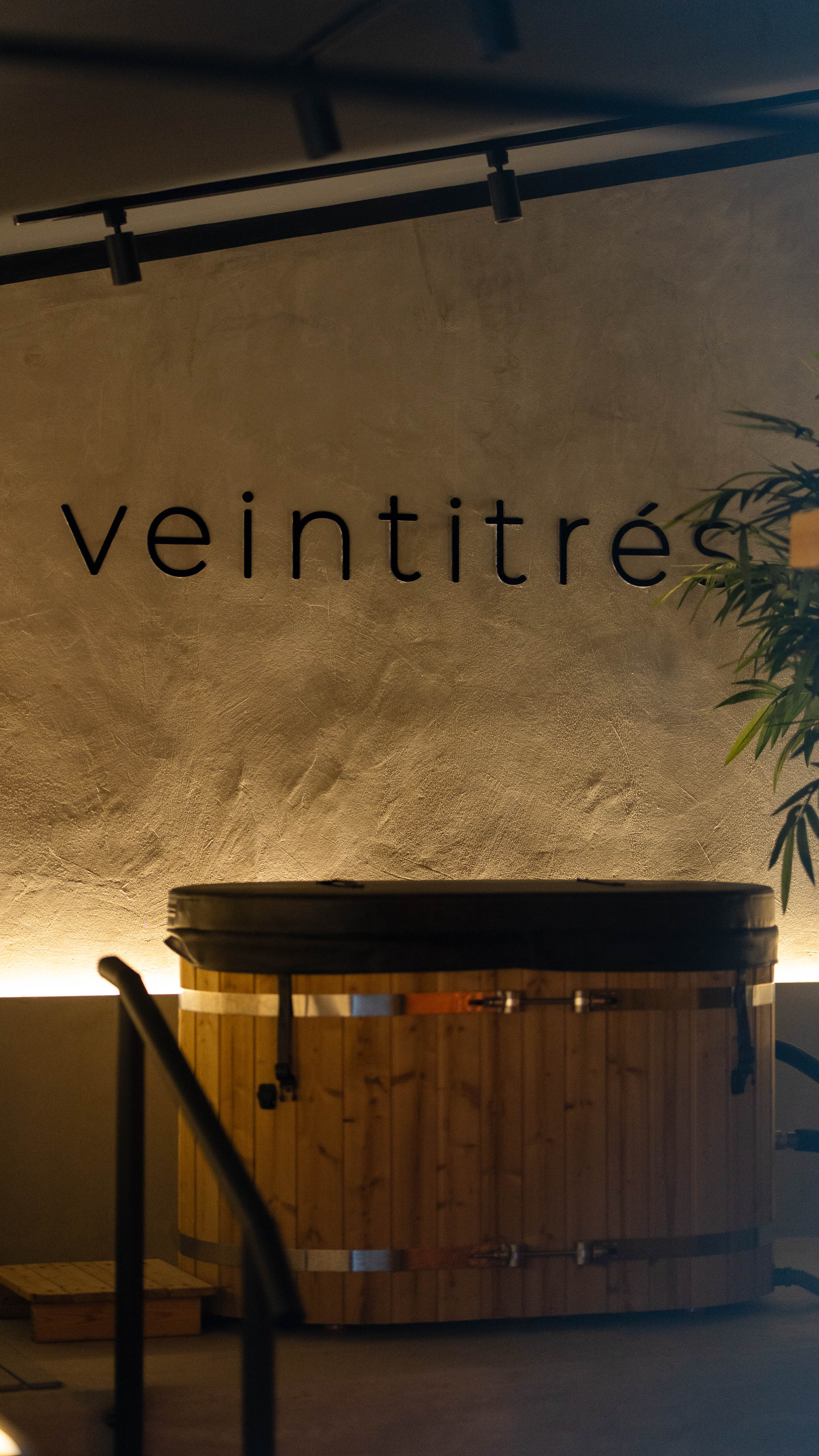 Zona recovery con cold plunge de Veintitrés Wellness Social Club